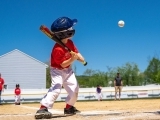 Tee Ball and Baseball Skills
