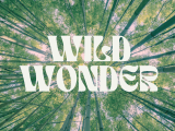 Wild Wonder