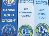 AKC CGC, CGC-A, Therapy Dog Obedience Prep & Testing  (LW)  (Members Only)