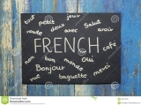 Introductory French 