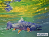 Paint Night: The Brook Trout