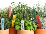 Culinary Herb Gardening Messalonskee W23