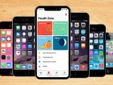 Introduction to iPhone Basics (Online)