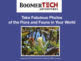 Take Fabulous Photos of the Flora & Fauna in your World - BoomerTECH Adventures