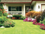 YardScaping From Lawns to Landscapes