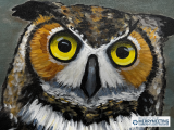 Paint Night: The Great Horned Owl
