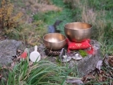 Sound Vibrational Frequency (Sound Bath) on Tuesdays in June at River House