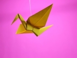 Origami For The Beginner (In Person) Litchfield