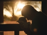 24/7 Dad: A Fatherhood Course (Online)