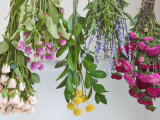 Dried Flower Arrangement
