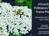 Gardening: Attracting Pollinators with Native Plants