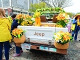 Cape Cod & Nantucket Daffodil Festival Motorcoach Tour