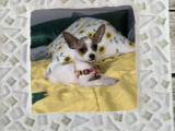 Mosaic Picture Frame