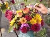 Floral Design II: Let Your Creativity Blossom - AFS231