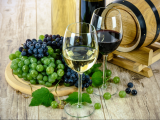 Beyond the Grape: A Survey of Maine Wine