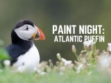 Paint Night: The Atlantic Puffin