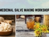 Medicinal Salve Making Workshop