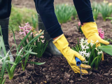 Get Your Garden Ready for Spring