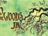 INTO THE WOODS JR.