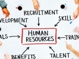 HR Role & Practical Strategies