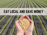 Eat Local and Save Money