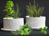 Original source: https://s3.amazonaws.com/coursestorm/live/media/10d3c5975e6311f0a371124bd5b32d05 Ceramic Herb Planter