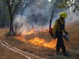 Interview with a Wildland Firefighter
