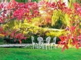 506F22 Seasonal Color in Your Yard