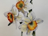 Painting Flowers (Jun)