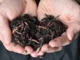 Worm Composting Harvest Night for Alumni