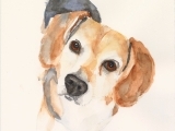 Watercolor Painting - May 13th, Single Drop In with Pam Carraway