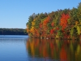 Lilly's Bus Tours - Fall Foliage in the Berkshires 