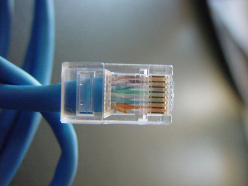 Original source: https://upload.wikimedia.org/wikipedia/commons/thumb/0/00/Network_utp_unshielded_twisted_pair_cable.jpg/1280px-Network_utp_unshielded_twisted_pair_cable.jpg