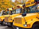 School Bus Driver Certification