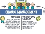 Change Managment Professional
