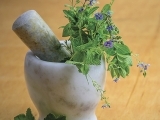Make Your Own Herbal Tinctures