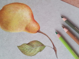 Introduction to Colored Pencil