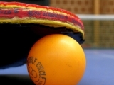 Pickleball: Learn to Play!!