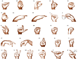 Conversational American Sign Language - LIFE*2039
