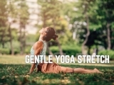 Gentle Yoga Stretch