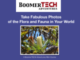 Take Fabulous Photos of the Flora and Fauna in Your World