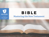 Mastering the New Testament:  New Testament Survey/Live