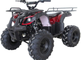 ATV/SNOWMOBILE SAFETY