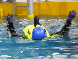 GWO Sea Survival