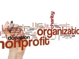 Program Evaluation for Nonprofits