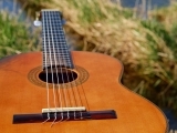 Guitar 1 & 2 for Beginners on Wednesdays in July at River House 