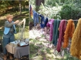 Gardening and Foraging Natural Dyes (1 day workshop)