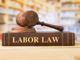 Employment & Labor Law Update