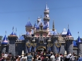 Thinking of a Trip to Walt Disney World? 