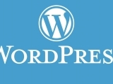 CERTIFICATE WordPress